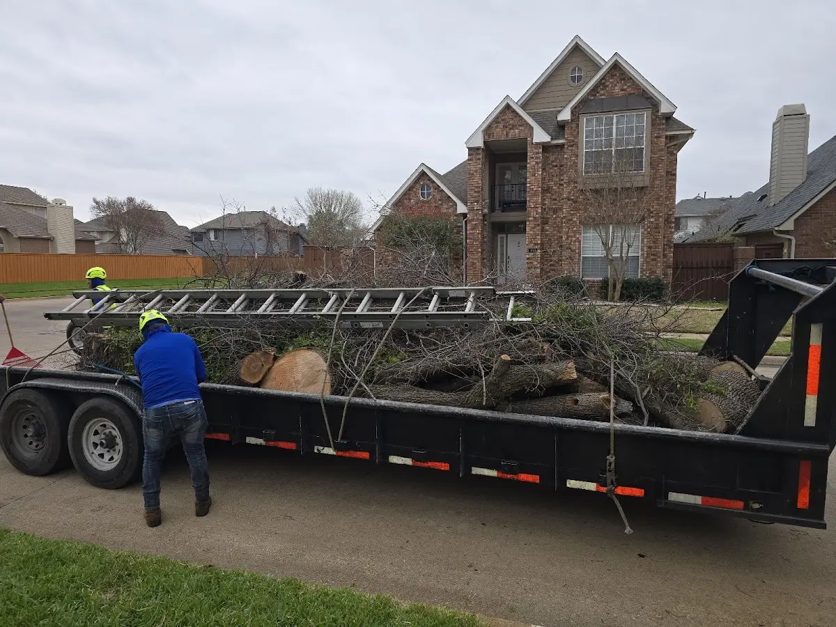 Expert Tree Fertilization with proper safety equipment in Suffolk